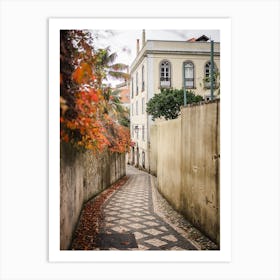 Sintra Autumn Alley Nature Palette Art Print