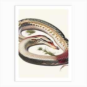 Bull Snake 1 Vintage Art Print