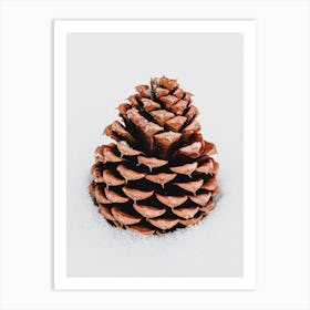 Snowy Pine Cone Art Print