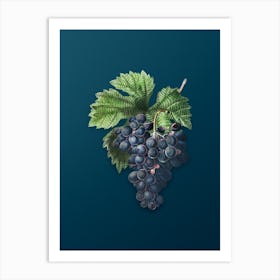 Vintage Grape Vine Botanical Art on Teal Blue n.0412 Art Print