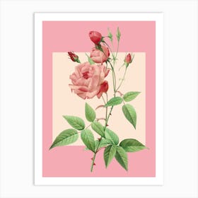 Pink Roses Art Print