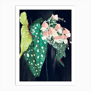 Begonia Love Art Print