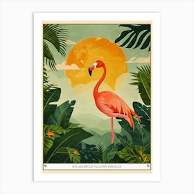 Greater Flamingo Rio Lagartos Yucatan Mexico Tropical Illustration 3 Poster Art Print