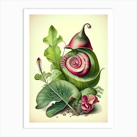 Mystery Snail  1 Botanical Art Print