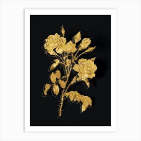 Vintage White Rose Botanical in Gold on Black n.0343 Art Print