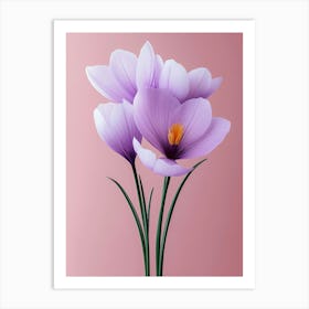 Crocus Flowers 2 Art Print