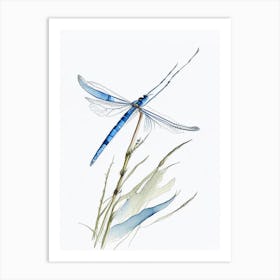 Blue Dasher Dragonfly Pencil Illustration 3 Art Print
