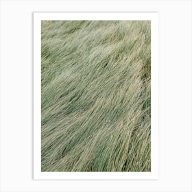 Green Grass Art Print