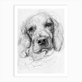 Cocker Spaniel Dog Charcoal Line 2 Art Print