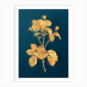 Vintage Vintage Pink Rosebush Botanical in Gold on Teal Blue n.0059 Art Print