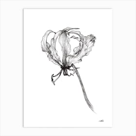 Black and White Flame Lilly 2 Art Print