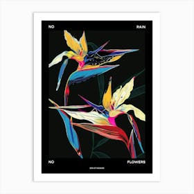 No Rain No Flowers Poster Bird Of Paradise 4 Art Print