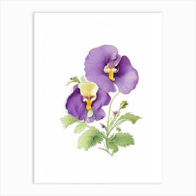 Pansy Floral Quentin Blake Inspired Illustration 5 Flower Art Print