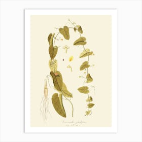 Ginkgo Biloba 5 Art Print