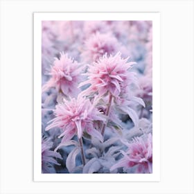 Frosty Botanical Bee Balm 1 Art Print