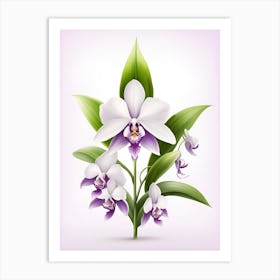 Orchid Flower Vector Illustration Art Print