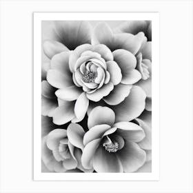 Camellia B&W Pencil 5 Flower Art Print