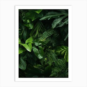 Jungle Background 1 Art Print