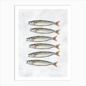 Mackerel Kitchen Print Poster