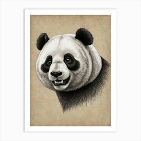 Panda Bear 29 Art Print