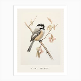 Vintage Bird Drawing Carolina Chickadee 3 Poster Art Print