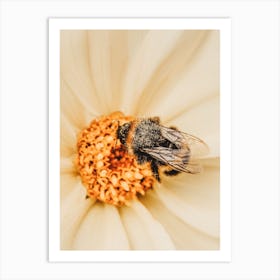 Bee On Flower Art Print