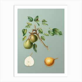 Vintage Pear Botanical Art on Mint Green n.0428 Art Print