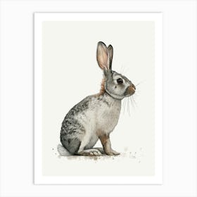 Polish Rex Rabbit Nursery Illustration 1 Art Print