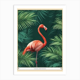 Greater Flamingo Nassau Bahamas Tropical Illustration 5 Poster Art Print