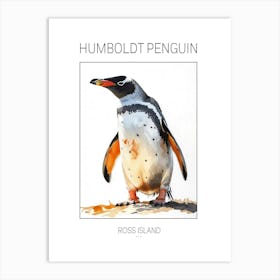 Humboldt Penguin Ross Island Watercolour Painting 1 Poster Art Print