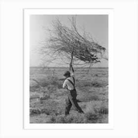 Carrying Mesquite To Be Burned In Process Of Clearing Land, El Indio, Texas By Russell Lee Art Print