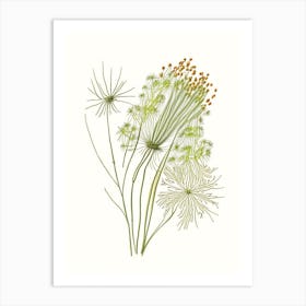 Fennel Seed Spices And Herbs Pencil Illustration 2 Art Print