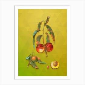 Vintage Walnut Peach Botanical Art on Empire Yellow n.0269 Art Print