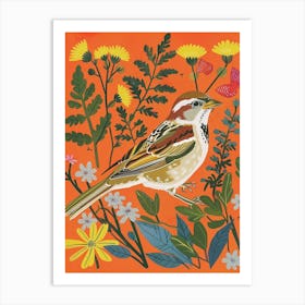 Spring Birds Sparrow 3 Art Print