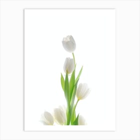 Tulip Art Art Print