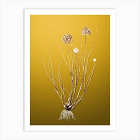 Gold Botanical Allium Globosum on Mango Yellow n.1302 Art Print