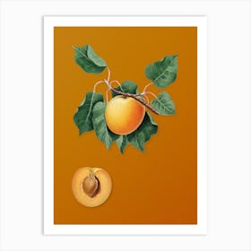 Vintage German Apricot Botanical on Sunset Orange n.0052 Art Print