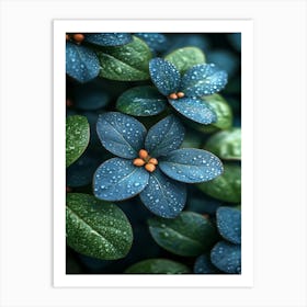 Blue Flowers With Water Droplets Art Print