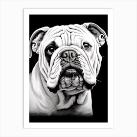 Bulldog Dog, Line Drawing 3 Art Print