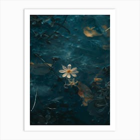 Flower In Water 3 Art Print