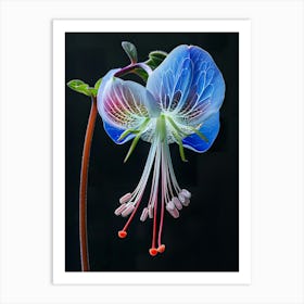 Blue Fuchsia Flower 1 Art Print