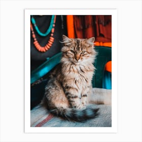 Cat Marocco in the mountains | Street Travel photography Art Print