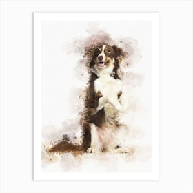 Border Collie Dog 2 Art Print