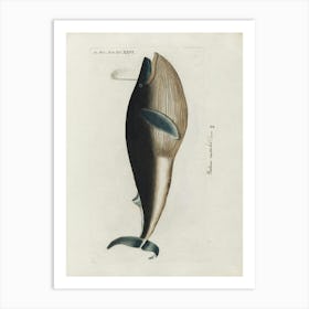 Whale Art Print