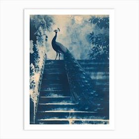 Peacock Feathers On Steps Cyanotype Inspired Art Print