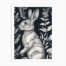 Thrianta Rabbit Minimalist Illustration 1 Art Print