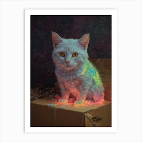 Cat In A Box 11 Art Print