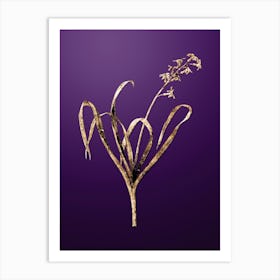 Gold Botanical Dutch Hyacinth on Royal Purple n.1074 Art Print