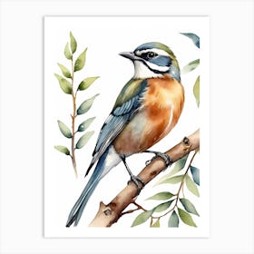 Beautiful Bird On Branch Watercolor Painting (30) Art Print