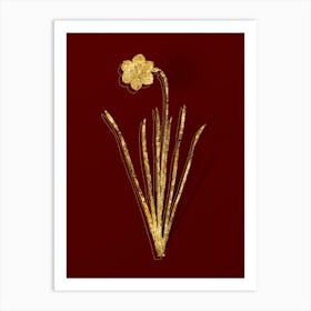 Vintage Narcissus Poeticus Botanical in Gold on Red n.0605 Art Print